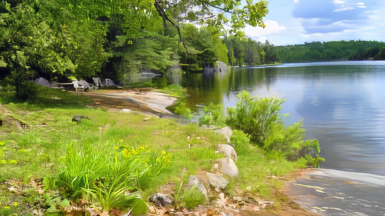 Photo of Outdoor in Trent Lakes