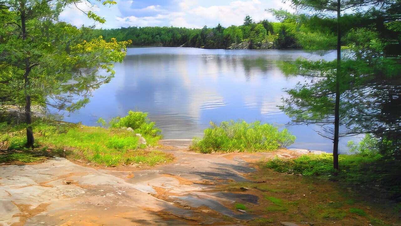 Photo of Outdoor in Trent Lakes