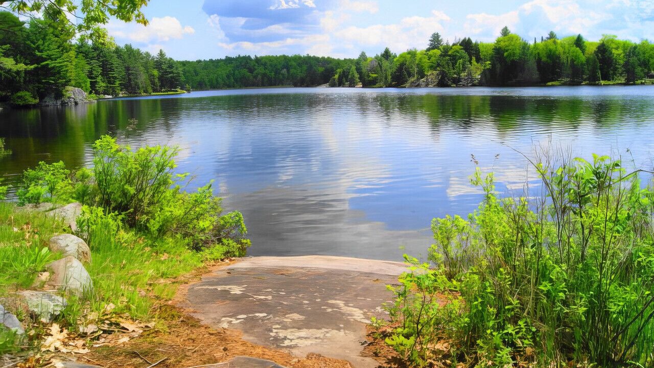 Photo of Outdoor in Trent Lakes