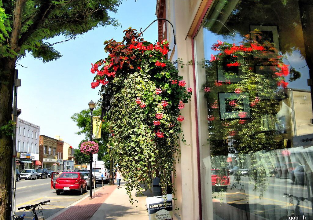 Photo of Others in Bloomfield