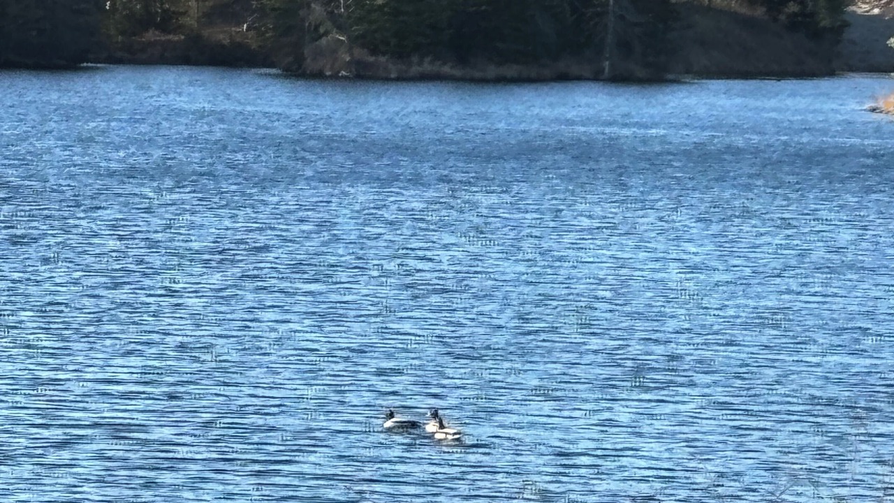 Photo of Outdoor in Dwight