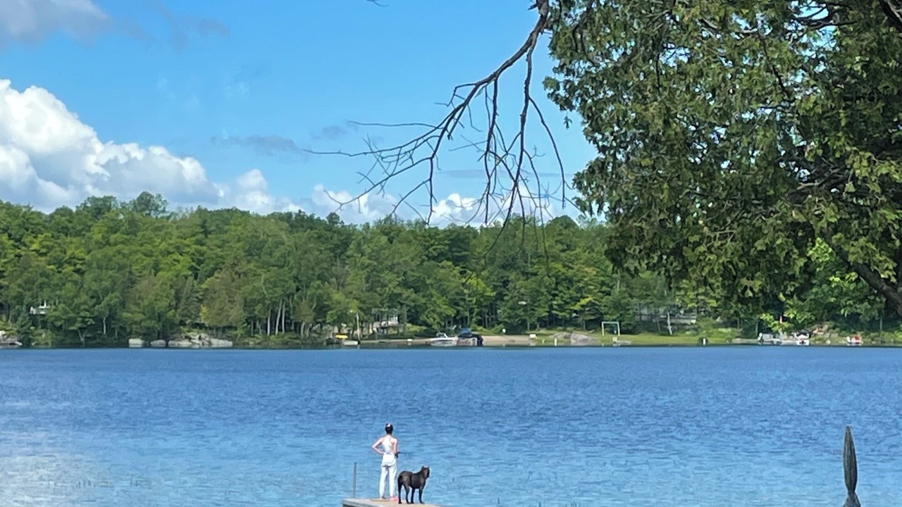 Photo of Outdoor in Magnetawan