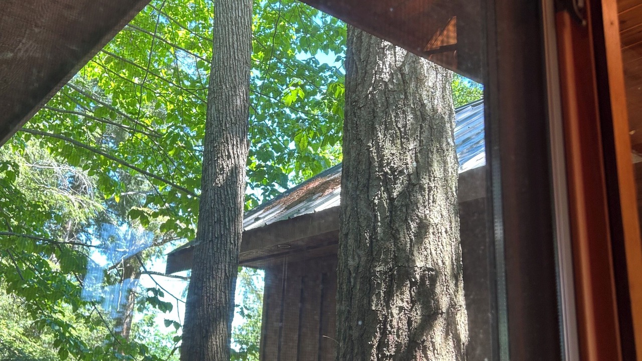 Photo of Others in Havelock-Belmont-Methuen