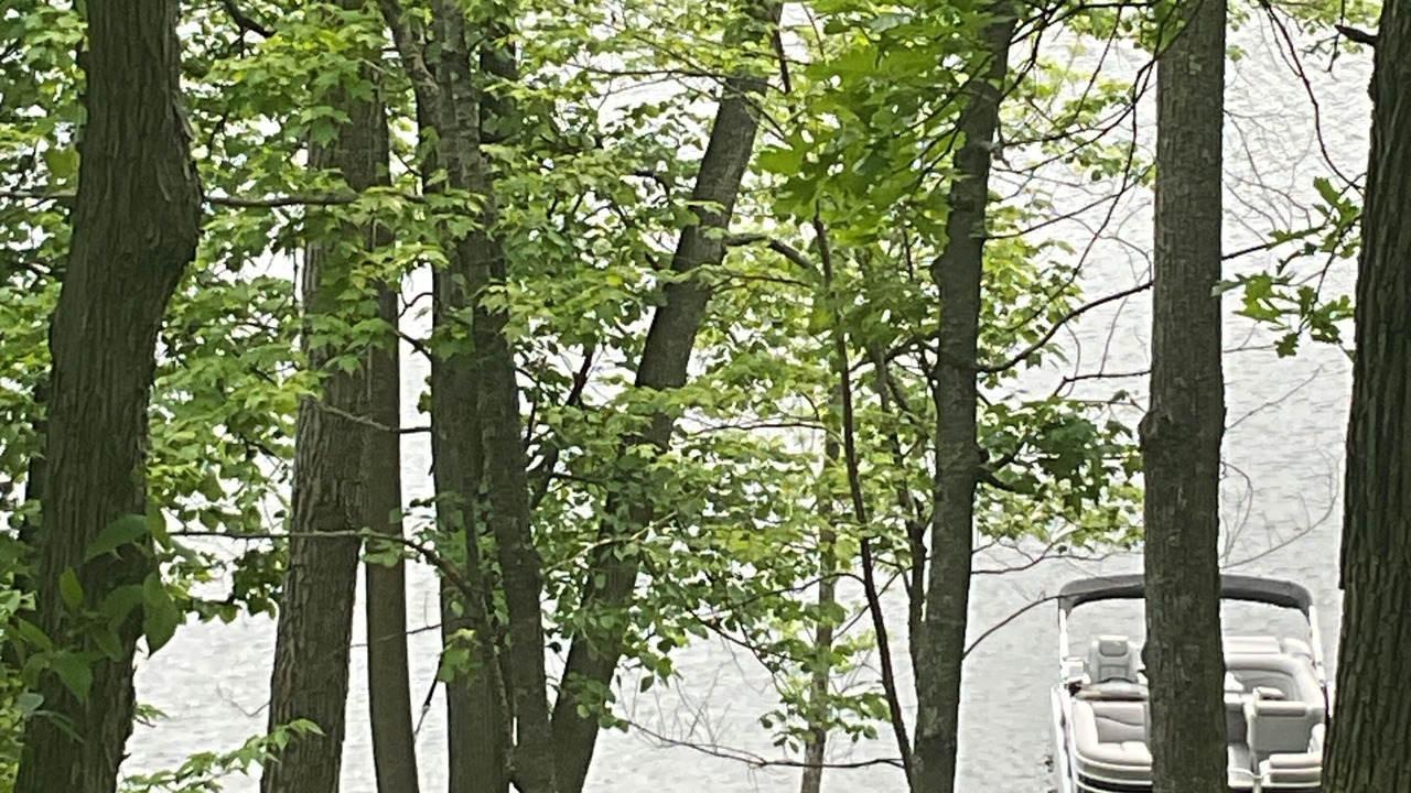 Photo of Outdoor in Outing
