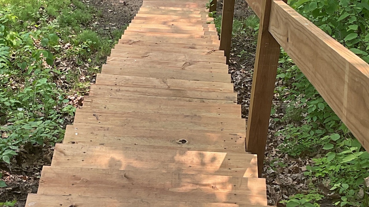 Photo of Outdoor in Outing