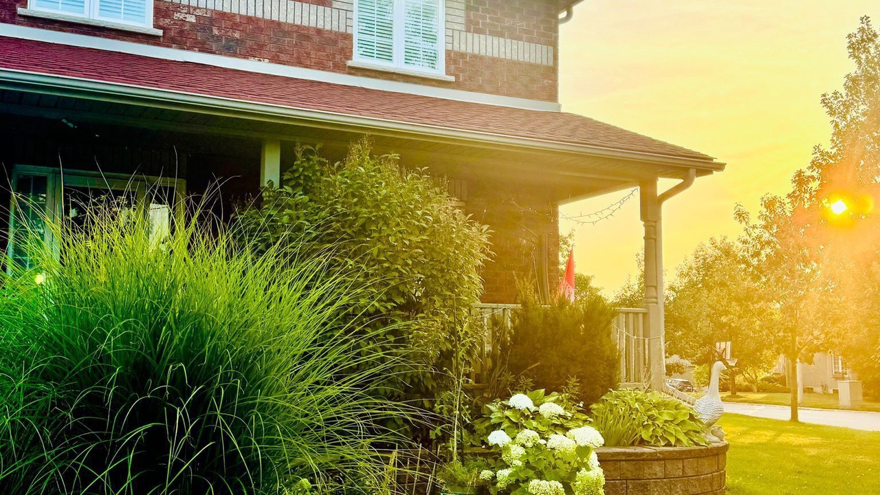 Photo of Outdoor in Barrie