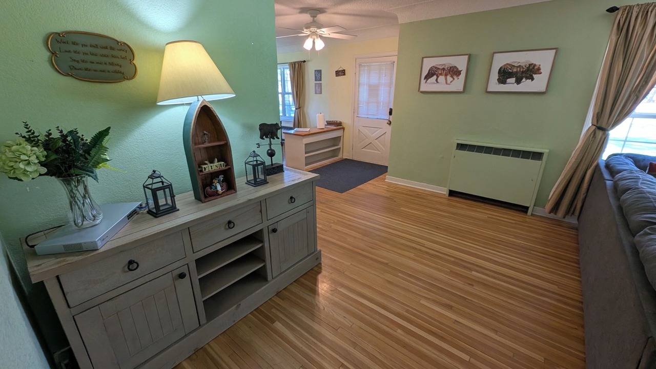 Photo of Livingroom in Park Rapids