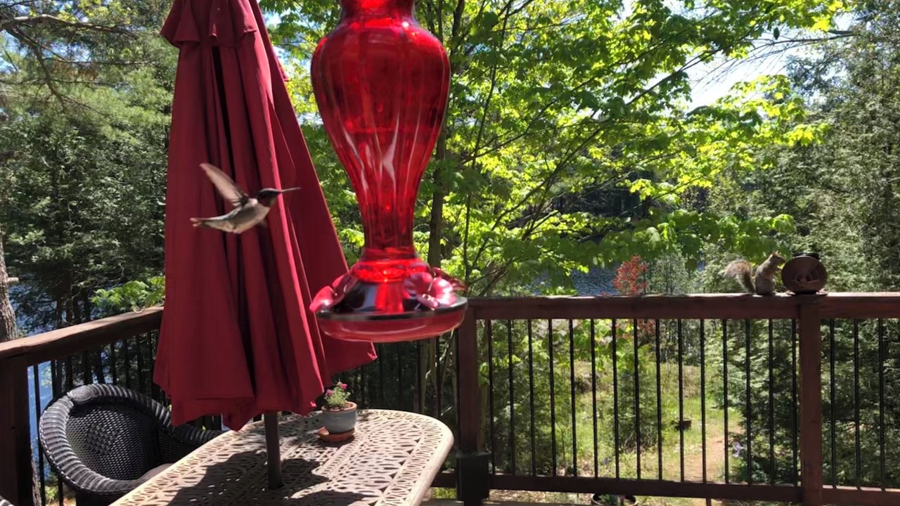 Photo of Outdoor in Arden