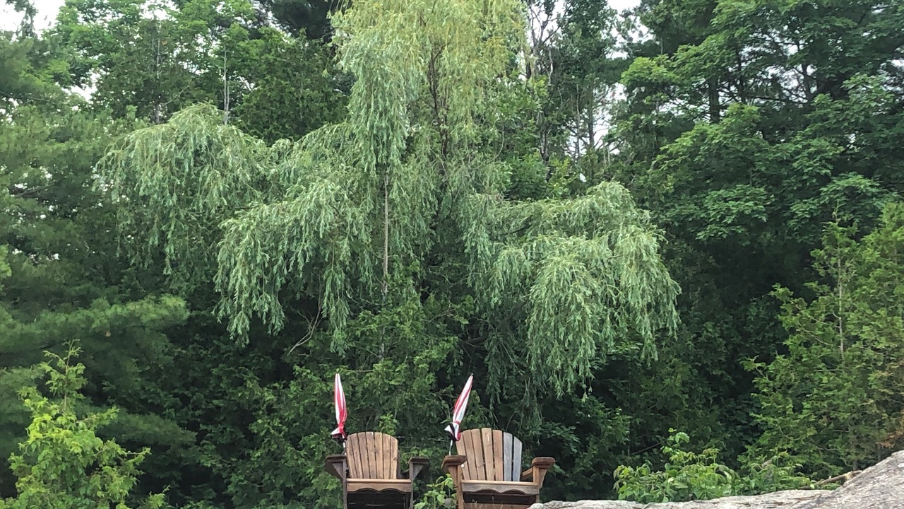 Photo of Outdoor in Arden