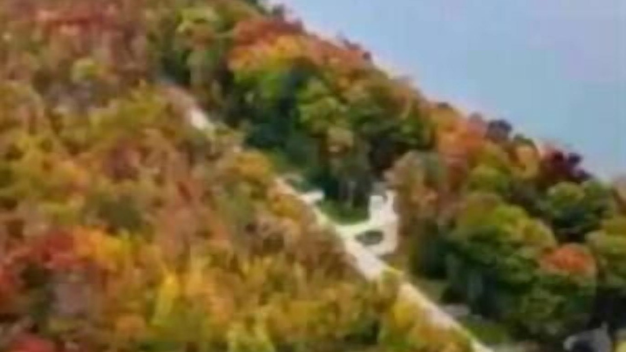 Photo of Outdoor in South Bruce Peninsula