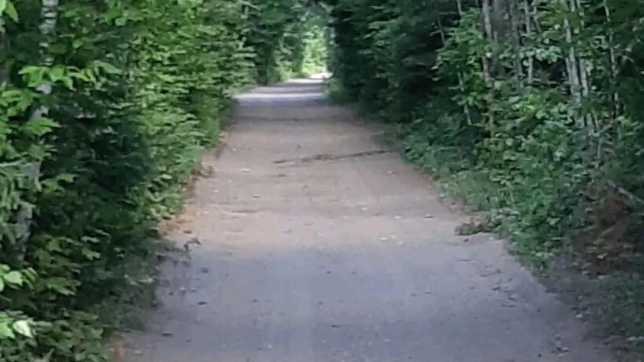 Photo of Others in Lake St. Peter