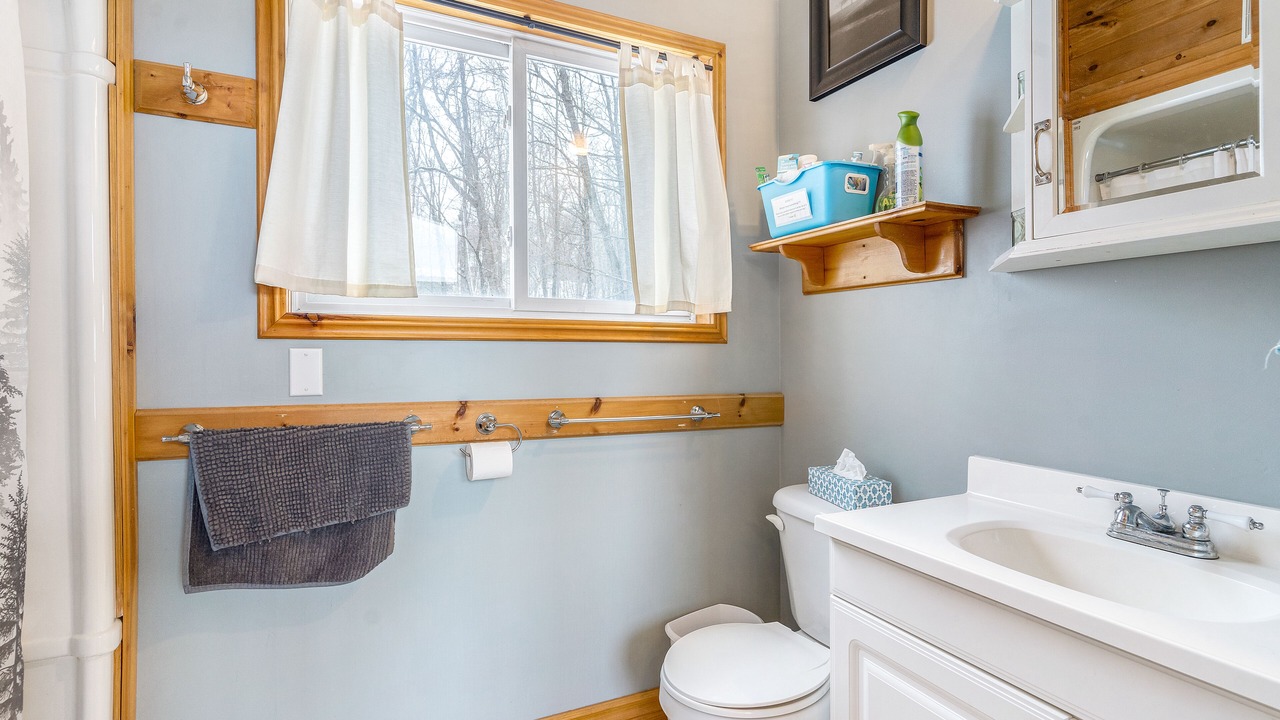 Photo of Bathroom in McDougall