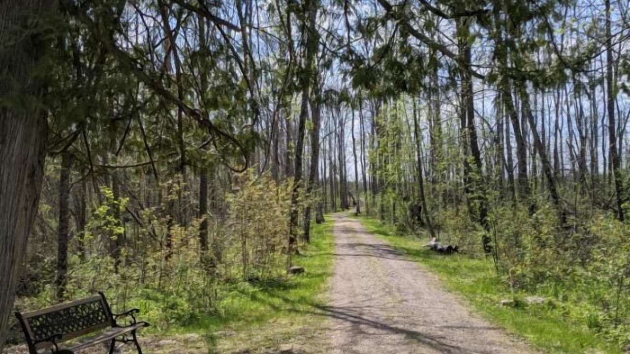 Photo of Outdoor in Hill City