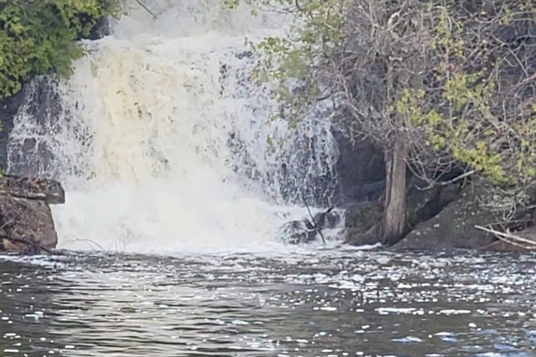 Photo of Others in Central Frontenac
