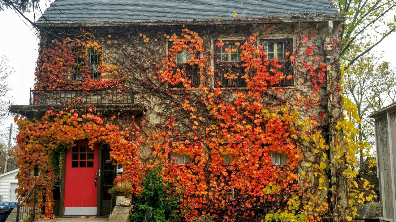 Photo of Outdoor in Southwest Minneapolis