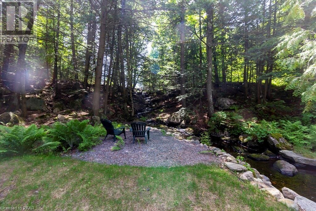 Photo of Outdoor in North Kawartha