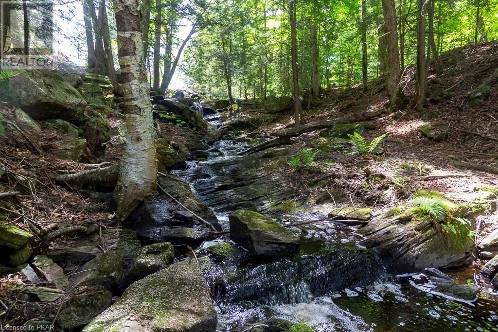 Photo of Outdoor in North Kawartha