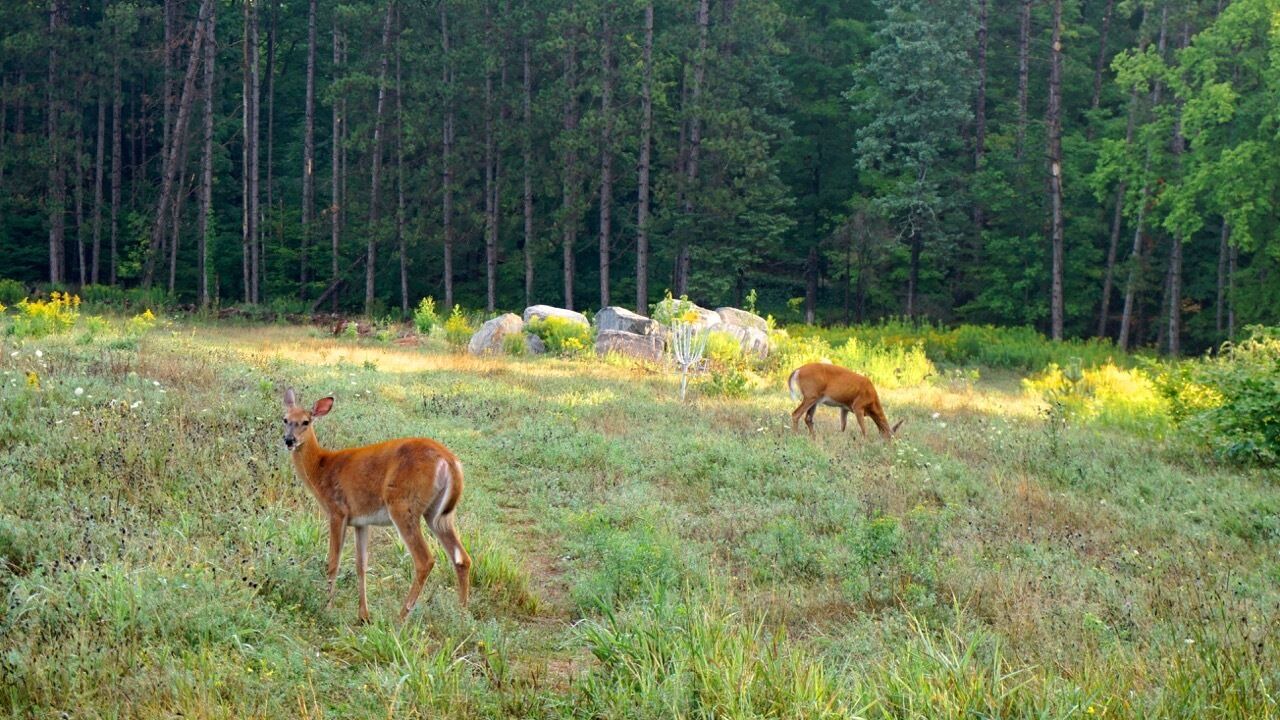 Photo of Outdoor in Minett