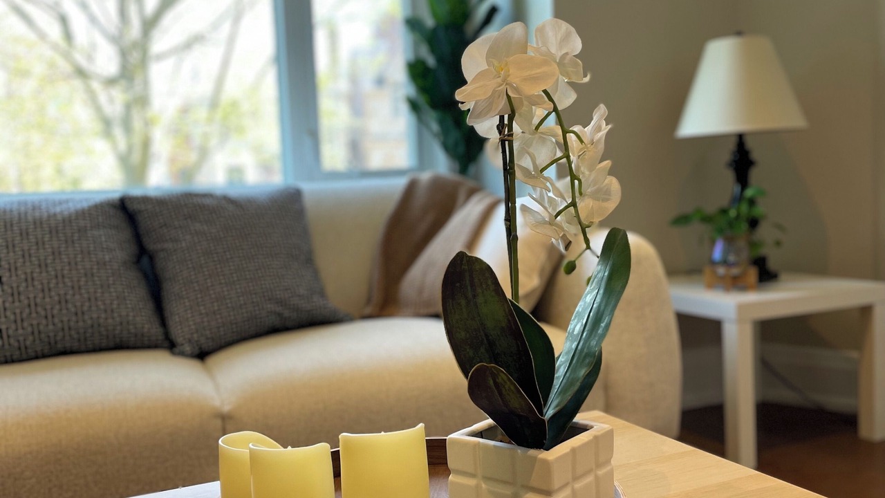 Photo of Livingroom in East York