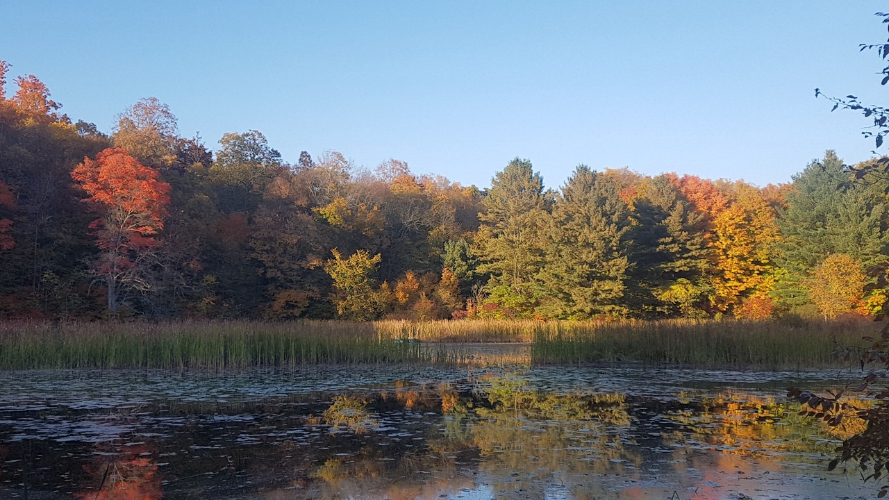 Photo of Others in Frontenac