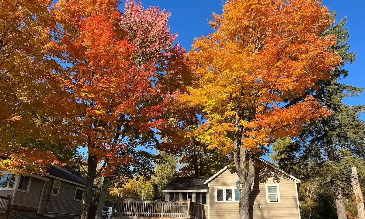 Photo of Outdoor in Bala