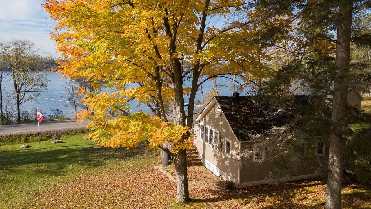 Photo of Outdoor in Bala