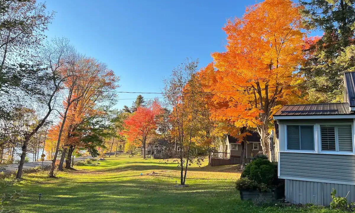 Photo of Outdoor in Bala