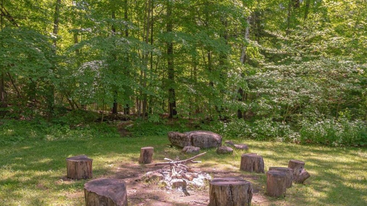 Photo of Outdoor in Trent Lakes