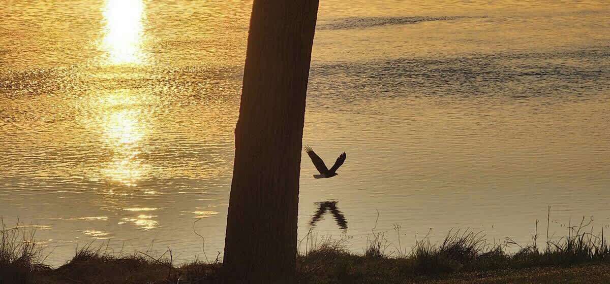 Photo of Others in Wabasha