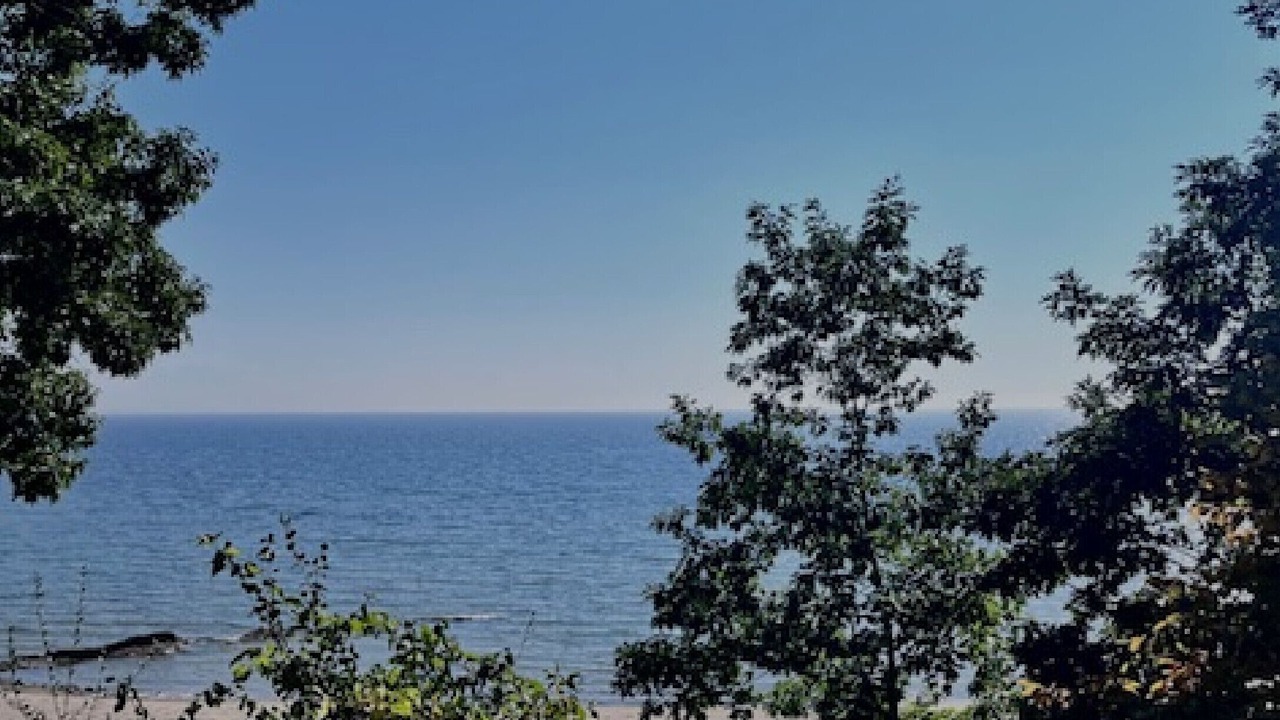 Photo of Others in Fort Erie