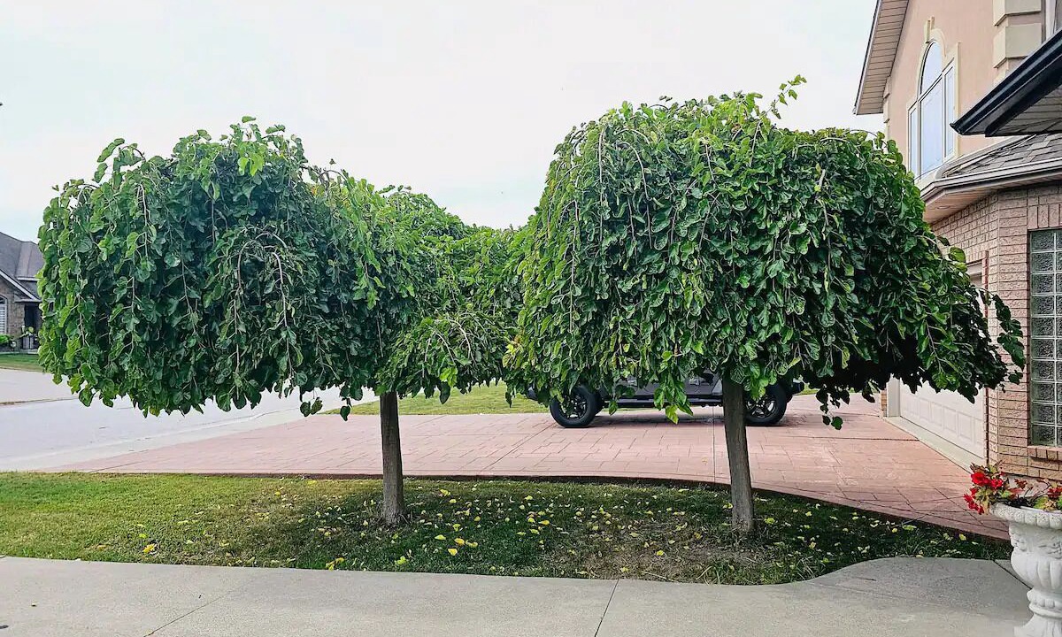 Photo of Outdoor in Lakeshore