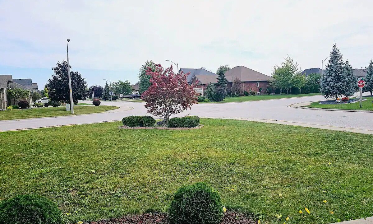 Photo of Outdoor in Lakeshore