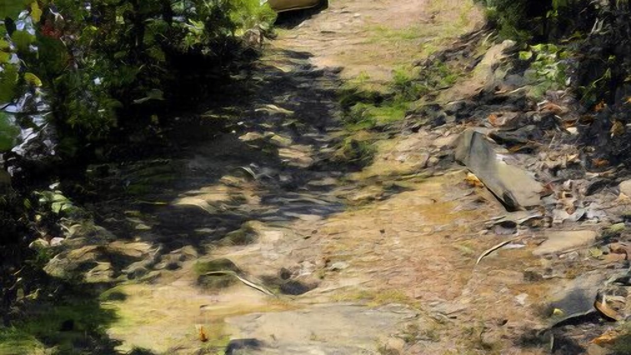 Photo of Others in Head Lake
