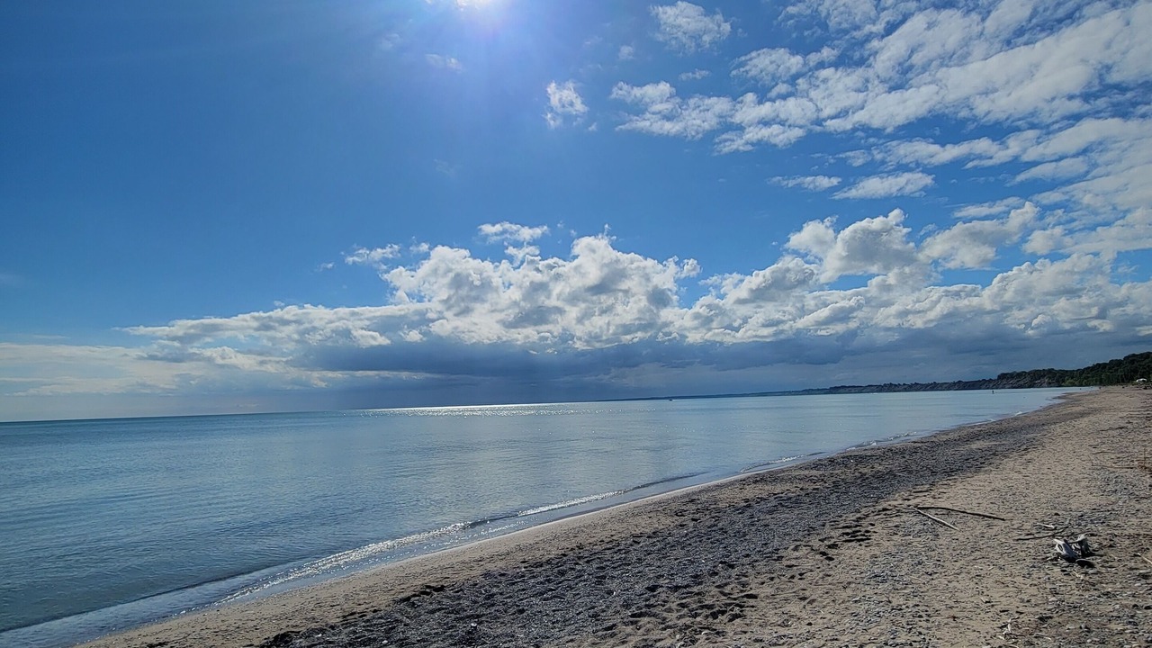 Photo of Others in Port Stanley
