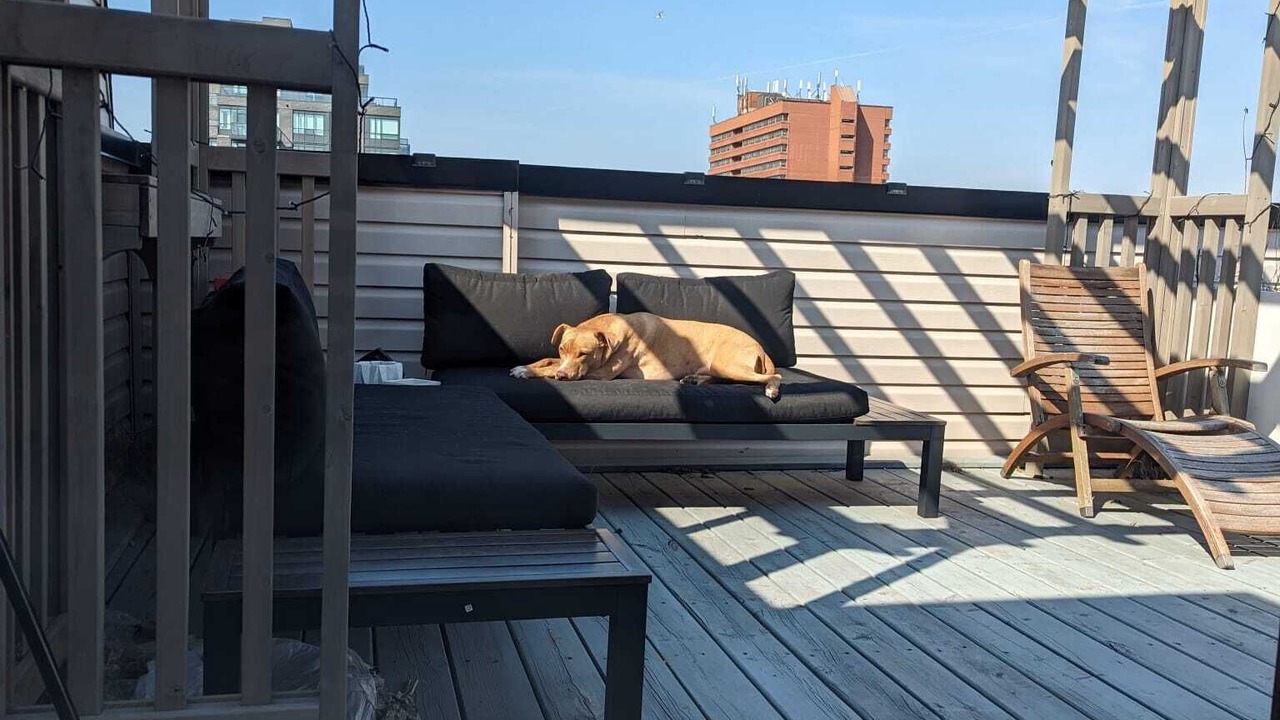 Photo of Patio Balcony in The Pocket