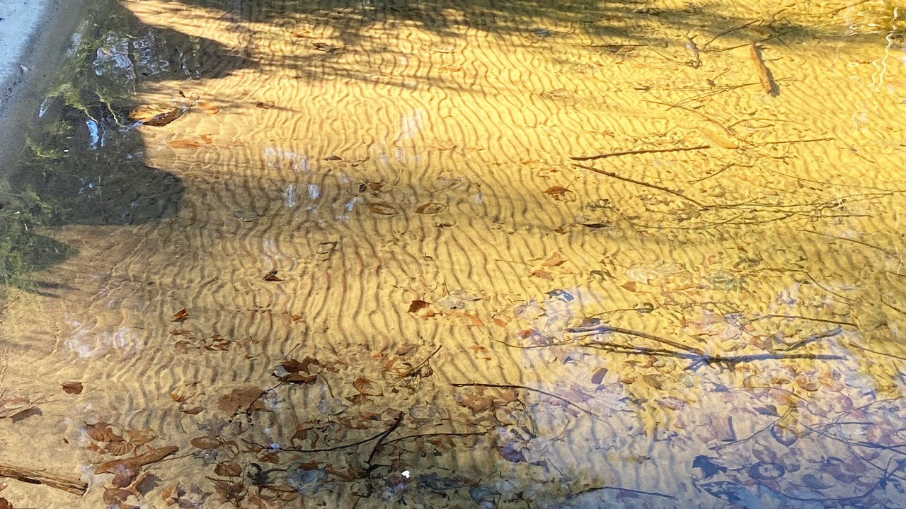 Photo of Others in Lake of Bays