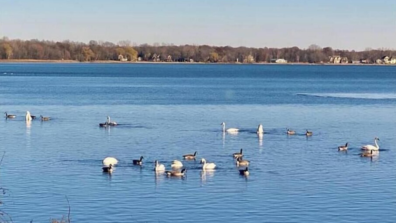 Photo of Outdoor in Oak Grove