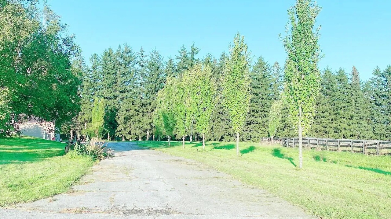 Photo of Outdoor in King