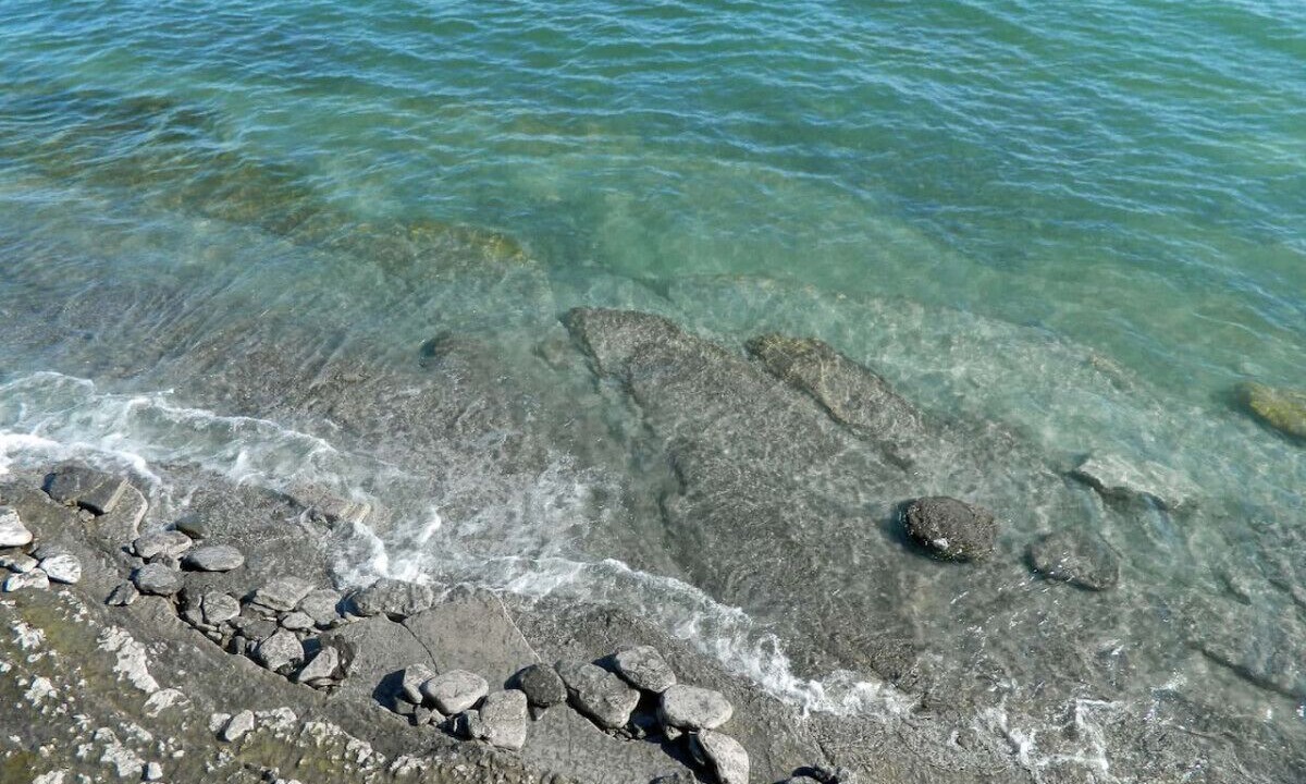Photo of Outdoor in Wellington