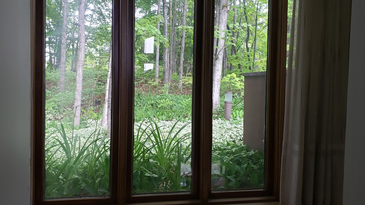 Photo of Others in Algoma District