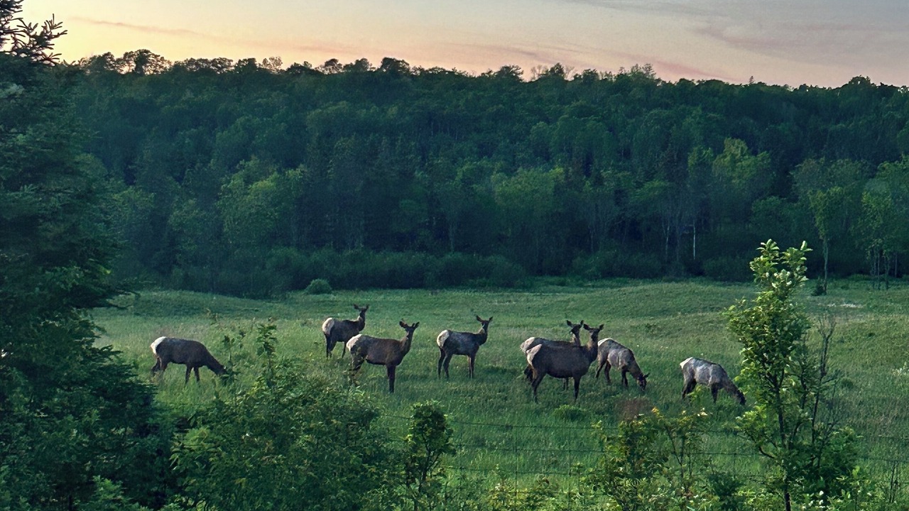 Photo of Others in Algoma District