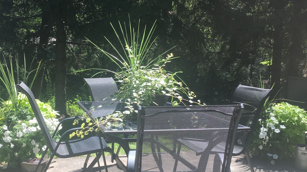 Photo of Outdoor in Grand Bend