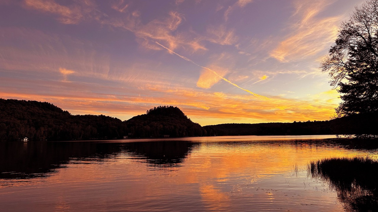 Photo of Outdoor in Dorset