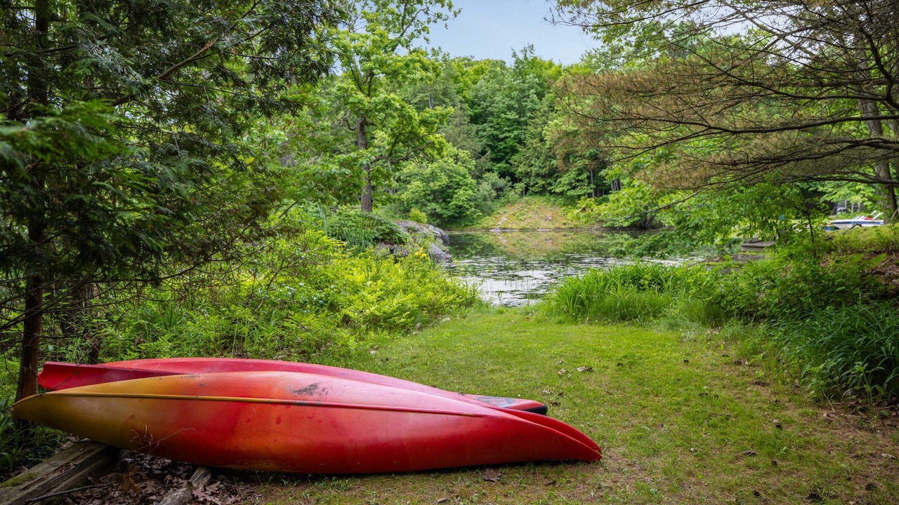 Photo of Outdoor in Jones Falls