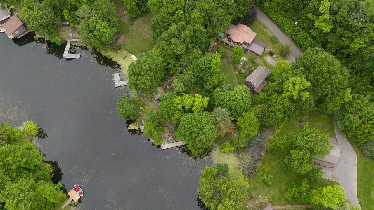 Photo of Outdoor in Jones Falls