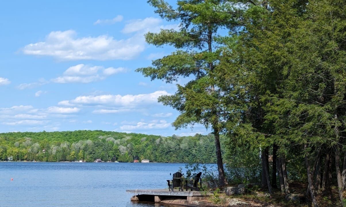 Photo of Outdoor in Minden Hills