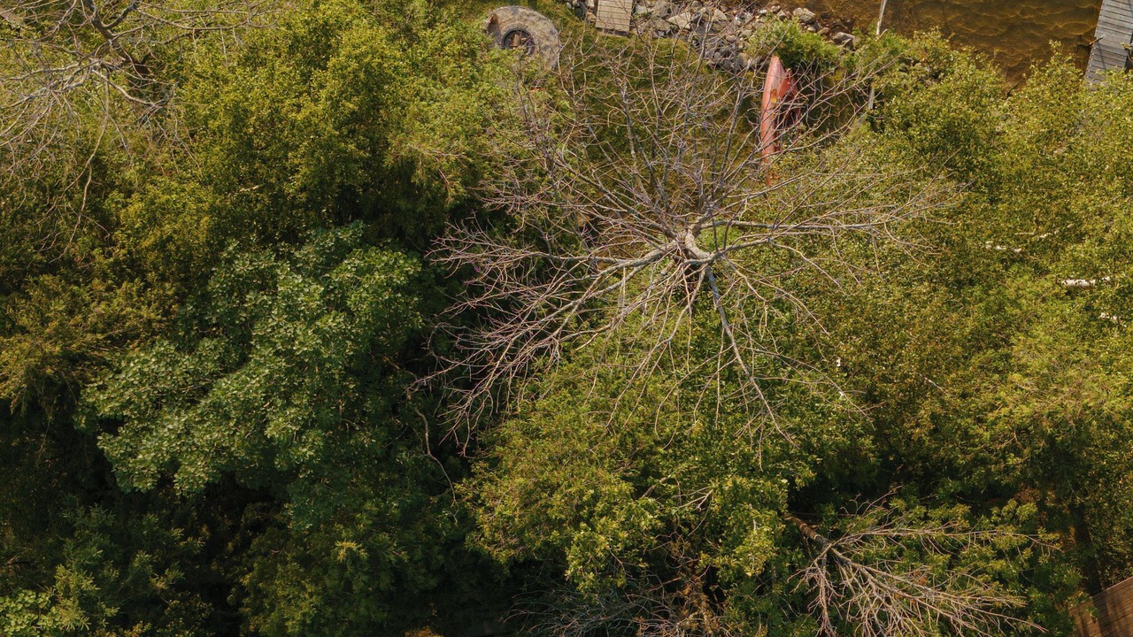 Photo of Outdoor in South Bruce Peninsula