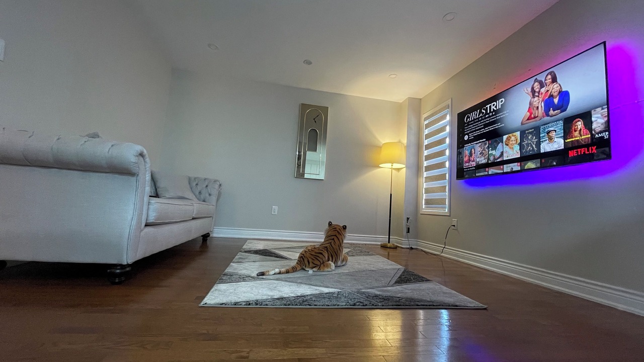 Photo of Livingroom in Whitby