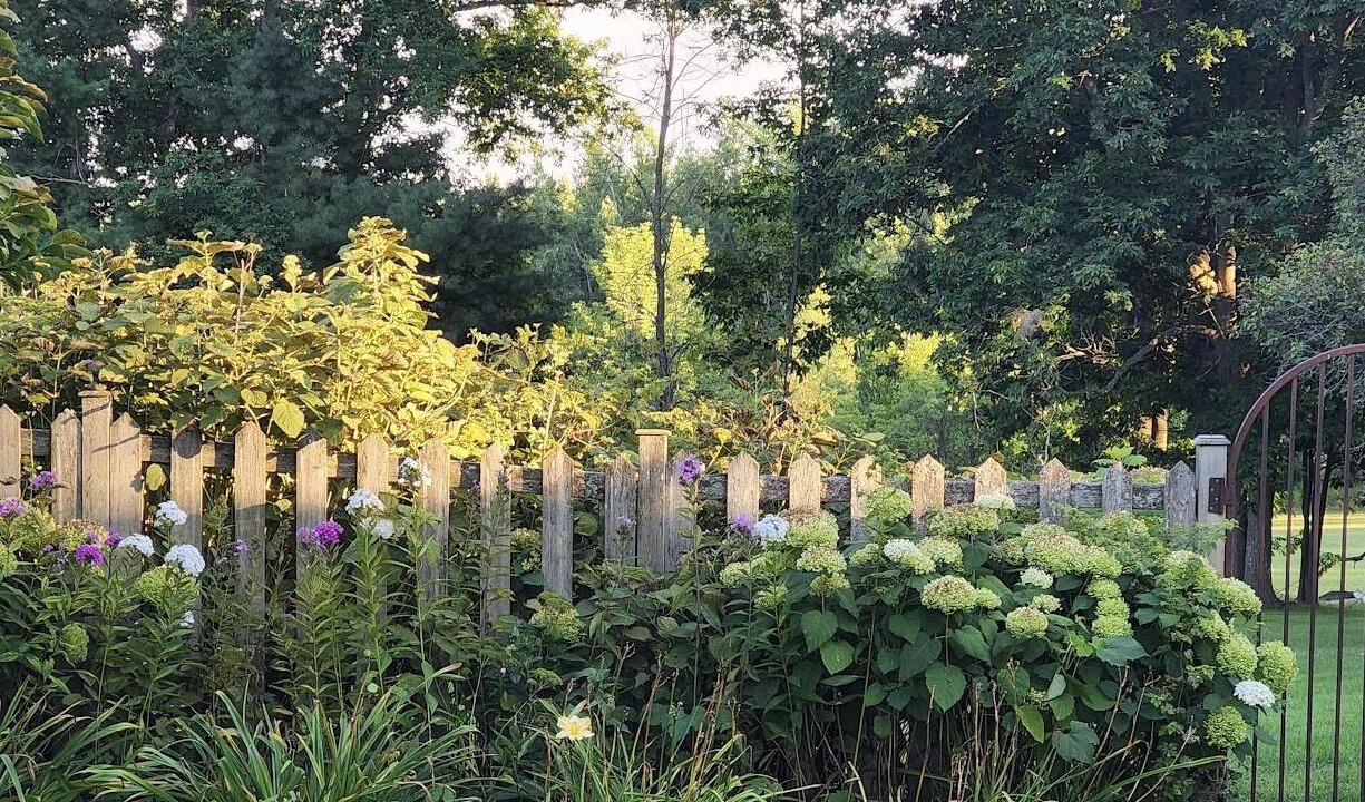 Photo of Outdoor in Selwyn