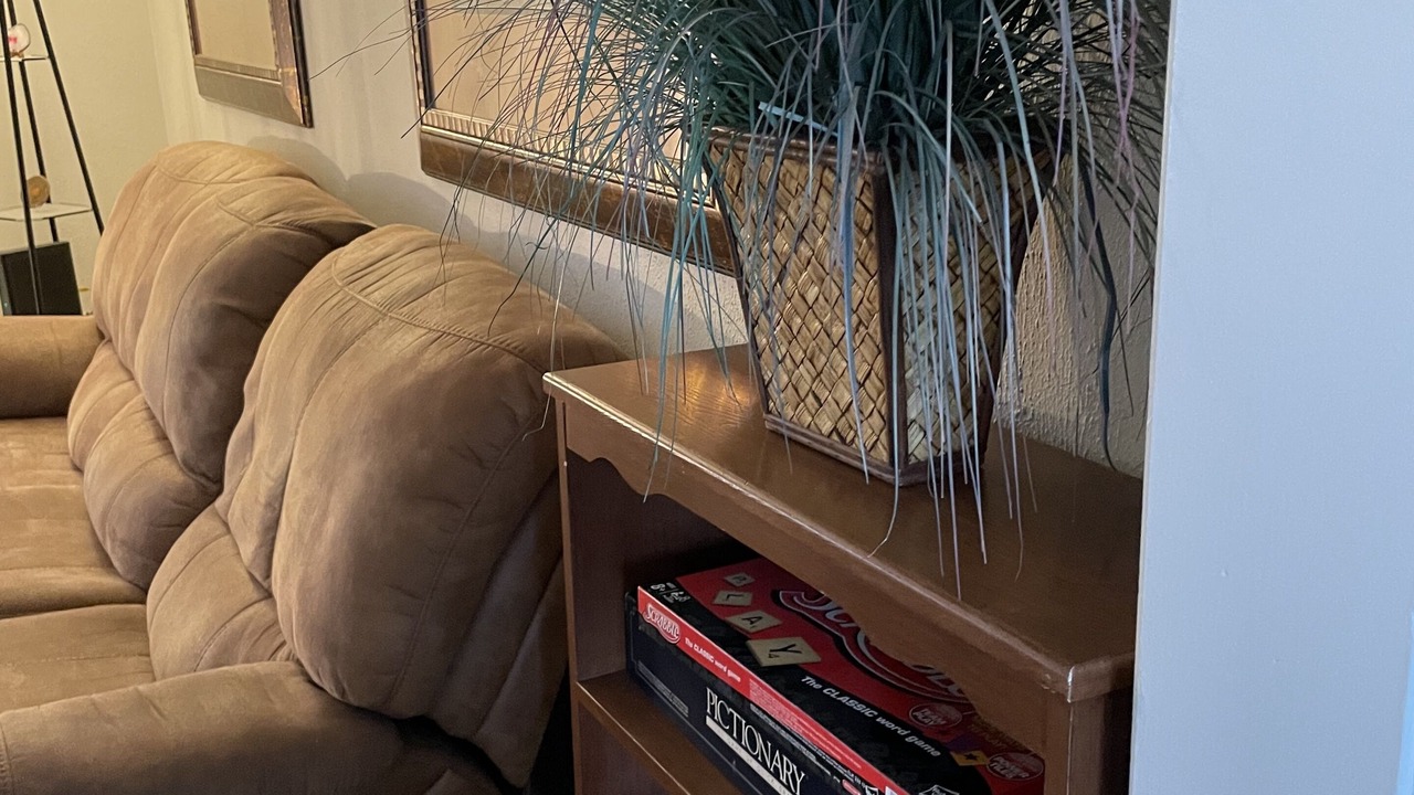 Photo of Livingroom in Virginia